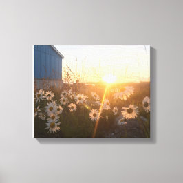 noordelijk zonnescanvas canvas afdruk