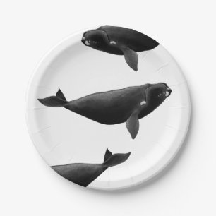 Noordelijke Atlantische Oceaan: walvis Eubalaena g Papieren Bordje