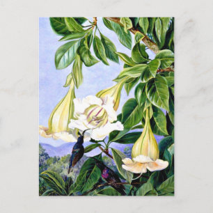 Noordelijke - Bloemen en bloemen van een tropisch  Briefkaart