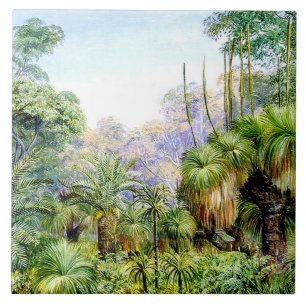 Noordelijke - Bosbouwschaal in West-Australië Tegeltje