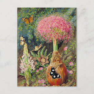 Noordelijke - Buphane Toricara en andere bloemen Briefkaart