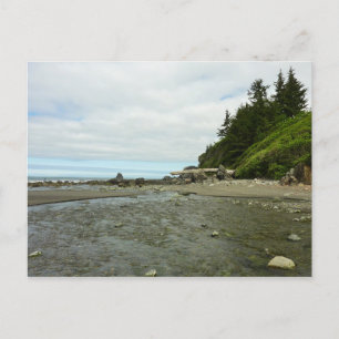 Noordelijke Californische kustlijn van Redwood Par Briefkaart