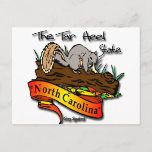 Noordelijke Carolina Tar Heel Gray Squirrel Briefkaart