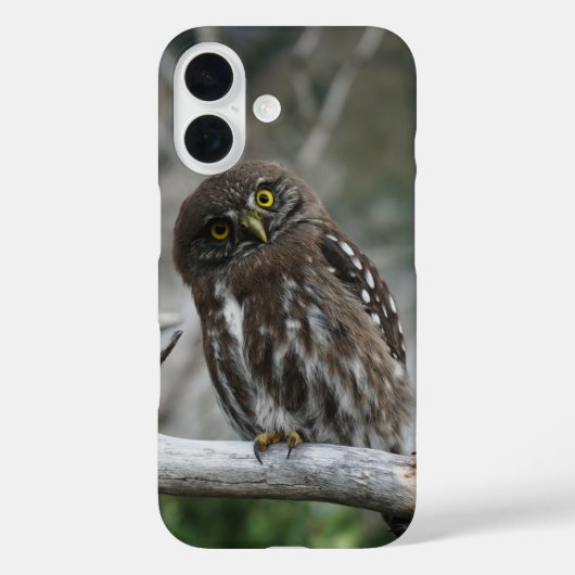 Noordelijke Dwerguil Case-Mate iPhone Case (Achterkant)