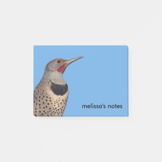 Noordelijke Flicker Woodpecker in de zon Post-it® Notes (Voorkant)