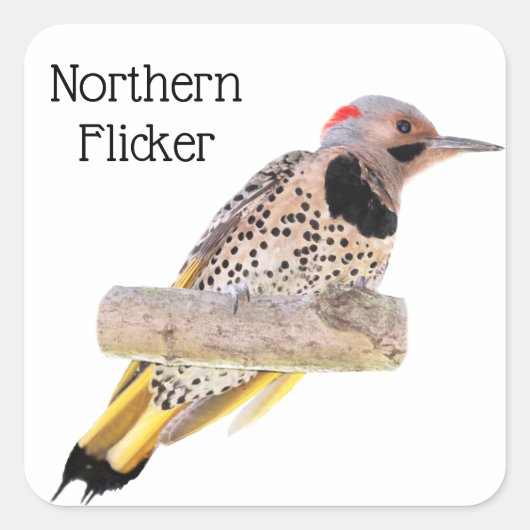 Noordelijke flikker vierkante sticker (Voorkant)