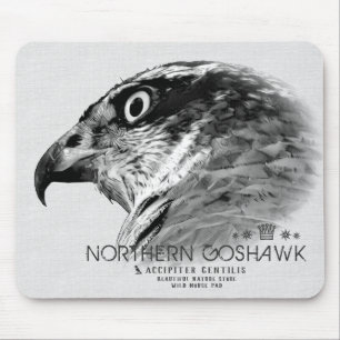 Noordelijke Goshawk Muismat