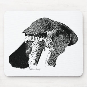 Noordelijke Goshawk Muismat