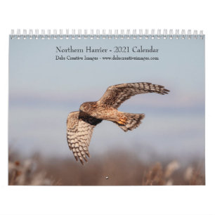Noordelijke Harrier 2021-kalender Kalender