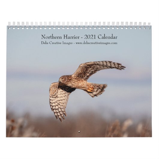 Noordelijke Harrier 2021-kalender Kalender (Hoes)
