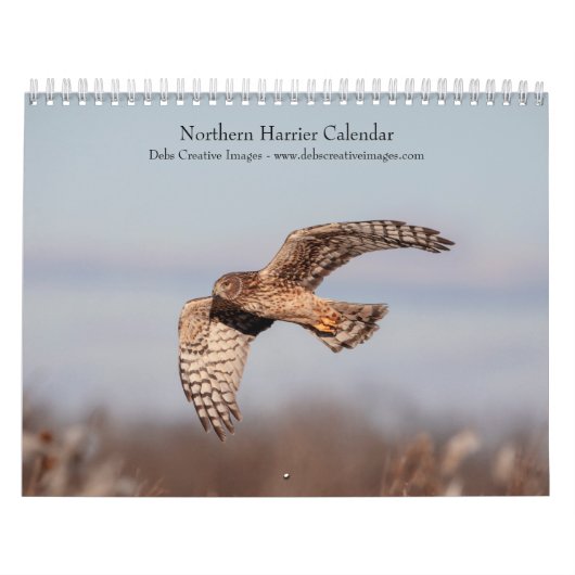 Noordelijke Harrier 2026 Kalender (Hoes)