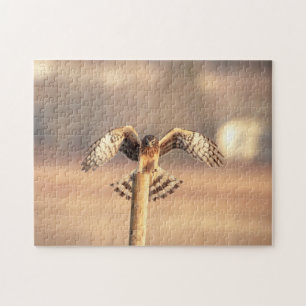 Noordelijke Harrier bij de Graslanden van Shawangu Legpuzzel