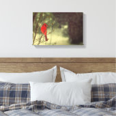 noordelijke kardinaal canvas afdruk (Insitu (Slaapkamer))