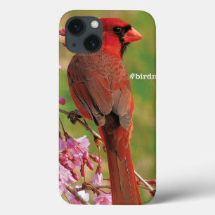 noordelijke kardinaal iPhone 13 hoesje