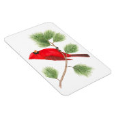 Noordelijke Kardinaal Flexi Magnet Magneet (Rechterzijde)