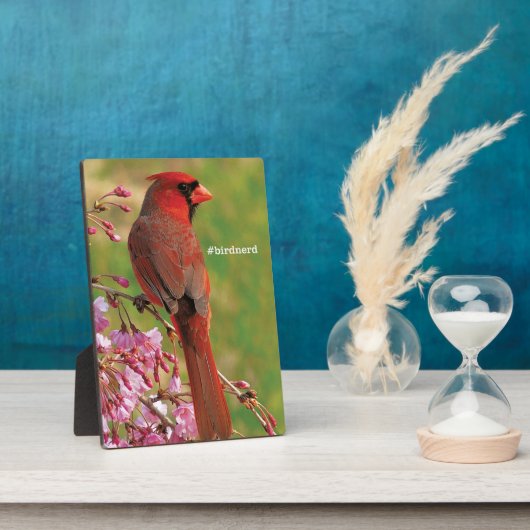 noordelijke kardinaal fotoplaat (Zijkant)