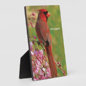 noordelijke kardinaal fotoplaat (Zijkant)