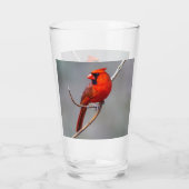 Noordelijke kardinaal glas (Achterkant)