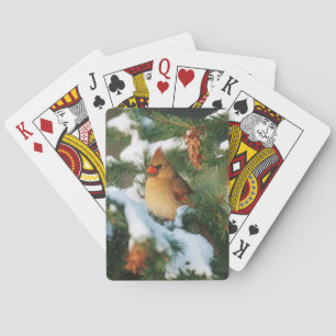 Noordelijke Kardinaal in boom, Illinois Pokerkaarten