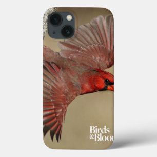 noordelijke kardinaal in de vlucht iPhone 13 hoesje