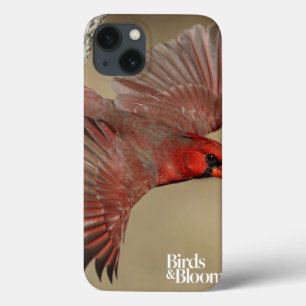noordelijke kardinaal in de vlucht iPhone 13 hoesje
