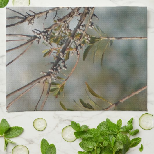 Noordelijke Kardinaal in Wax Myrtle Theedoek (Gevouwen)