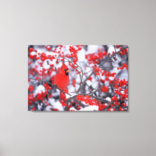 Noordelijke Kardinaal mannetje, Winter, IL Canvas Afdruk