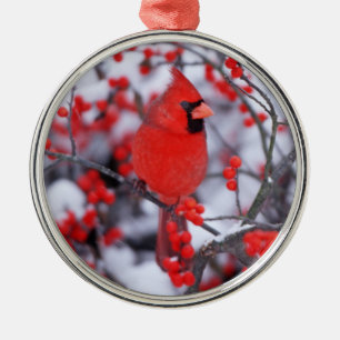 Noordelijke Kardinaal mannetje, Winter, IL Metalen Ornament