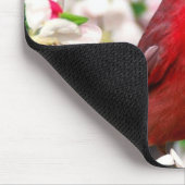 noordelijke kardinaal muismat (Hoek)