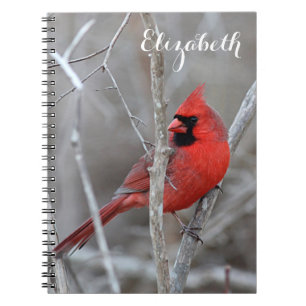 noordelijke kardinaal notitieboek