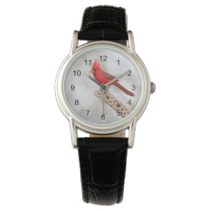 Noordelijke Kardinaal op een tak Horloge
