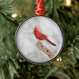 Noordelijke Kardinaal op een tak Metalen Ornament