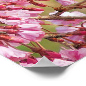 noordelijke kardinaal poster (Hoek)