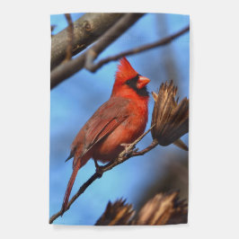 Noordelijke Kardinaal Tuinvlag