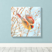 Noordelijke Kardinaal vliegen - Oorspronkelijke fo Canvas Afdruk (Insitu (Houten vloer))