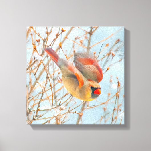 Noordelijke Kardinaal vliegen - Oorspronkelijke fo Canvas Afdruk (Voorkant)