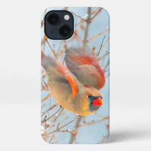 Noordelijke Kardinaal vliegen - Oorspronkelijke fo iPhone 13 Hoesje