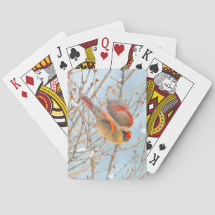 Noordelijke Kardinaal vliegen - Oorspronkelijke fo Pokerkaarten