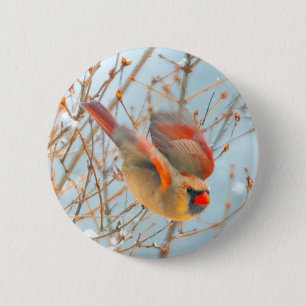 Noordelijke Kardinaal vliegen - Oorspronkelijke fo Ronde Button 5,7 Cm