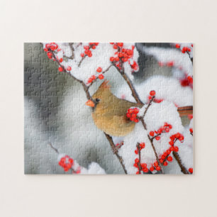 Noordelijke Kardinaal vrouw op Gewone Winterbes Legpuzzel