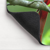 Noordelijke kardinalen muismat (Hoek)