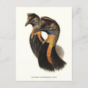 Noordelijke kassabedrijven, vogels briefkaart