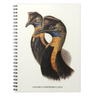 Noordelijke kassabedrijven, vogels notitieboek