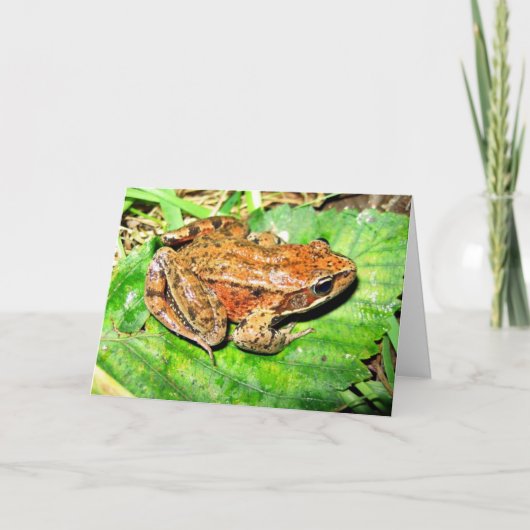 Noordelijke kikker Met rode poten Kaart (Voorkant)