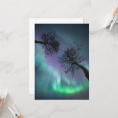 Noordelijke lichtbomen kaart (Voorkant / Achterkant in situ)