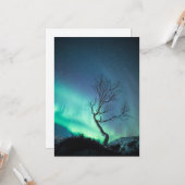 Noordelijke lichtboom kaart (Voorkant / Achterkant in situ)