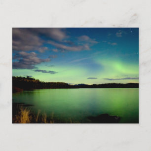 Noordelijke lichten (Aurora borealis) Briefkaart