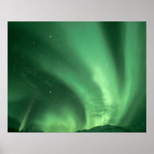 Noordelijke lichten, Aurora borealis, over de gron Poster (Voorkant)