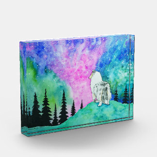 Noordelijke lichten fotoblokken