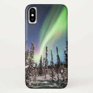 Noordelijke lichten Nationaal park Denali iPhone X Hoesje